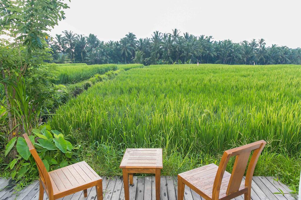 Solo Villas & Retreat Убуд Экстерьер фото