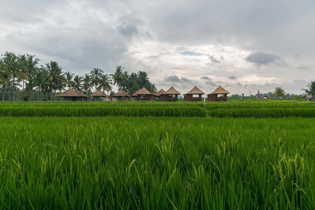 Solo Villas & Retreat Убуд Экстерьер фото